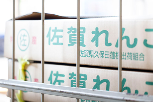 青果物輸送